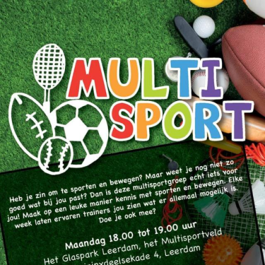 Logo Multisport Leerdam